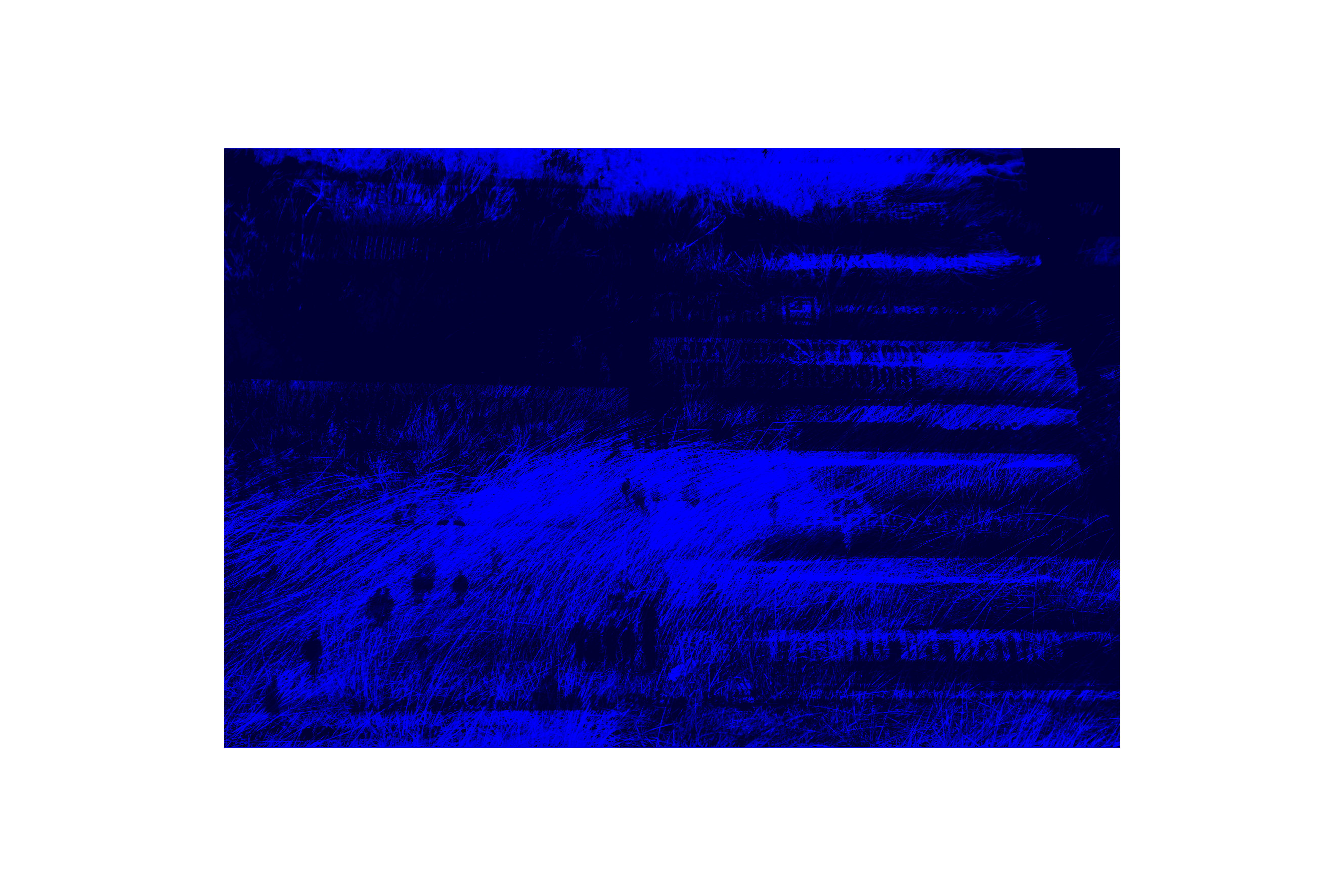 Tide, die blaue Welle