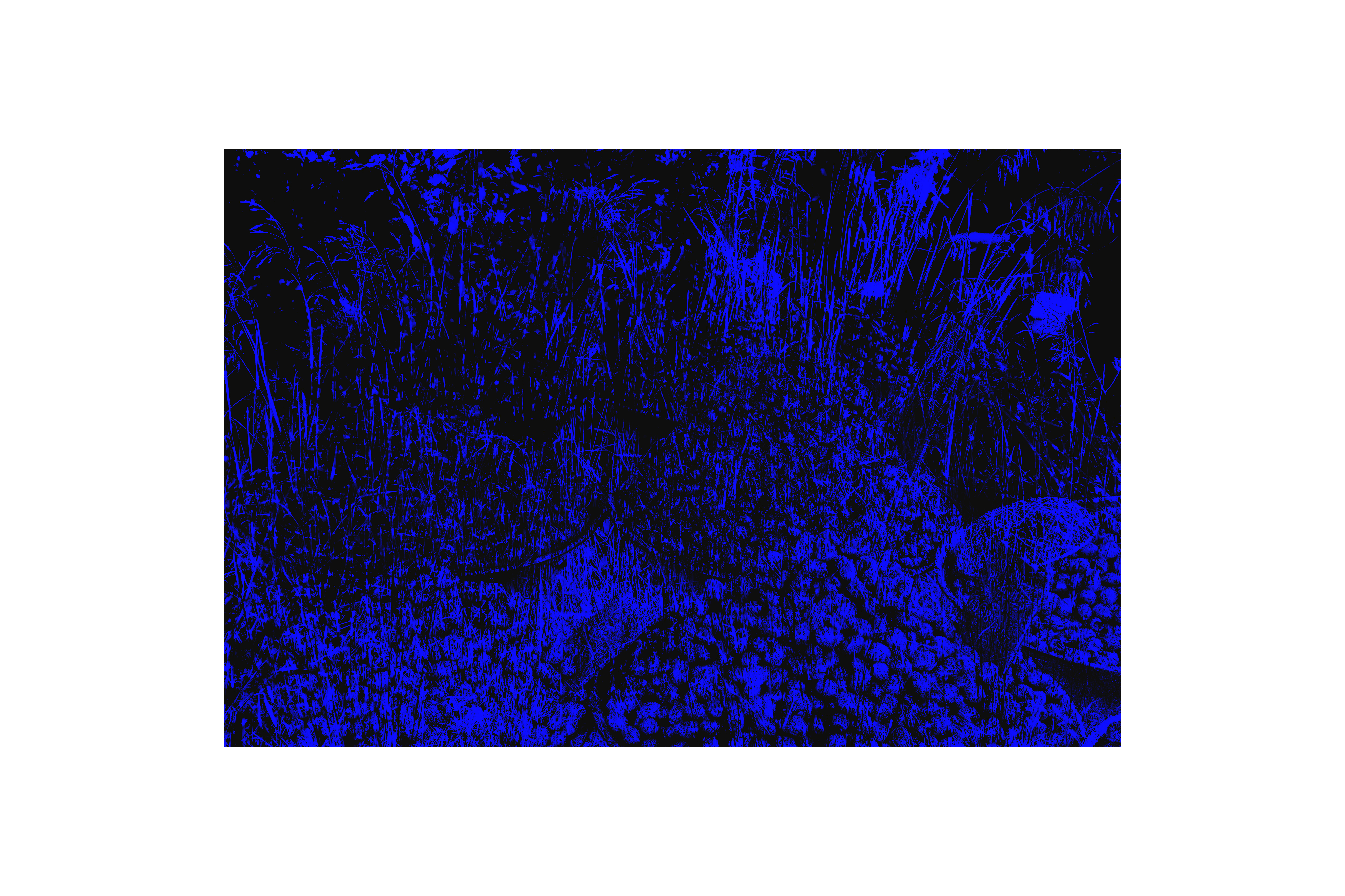 Die Konsistenz von Blau