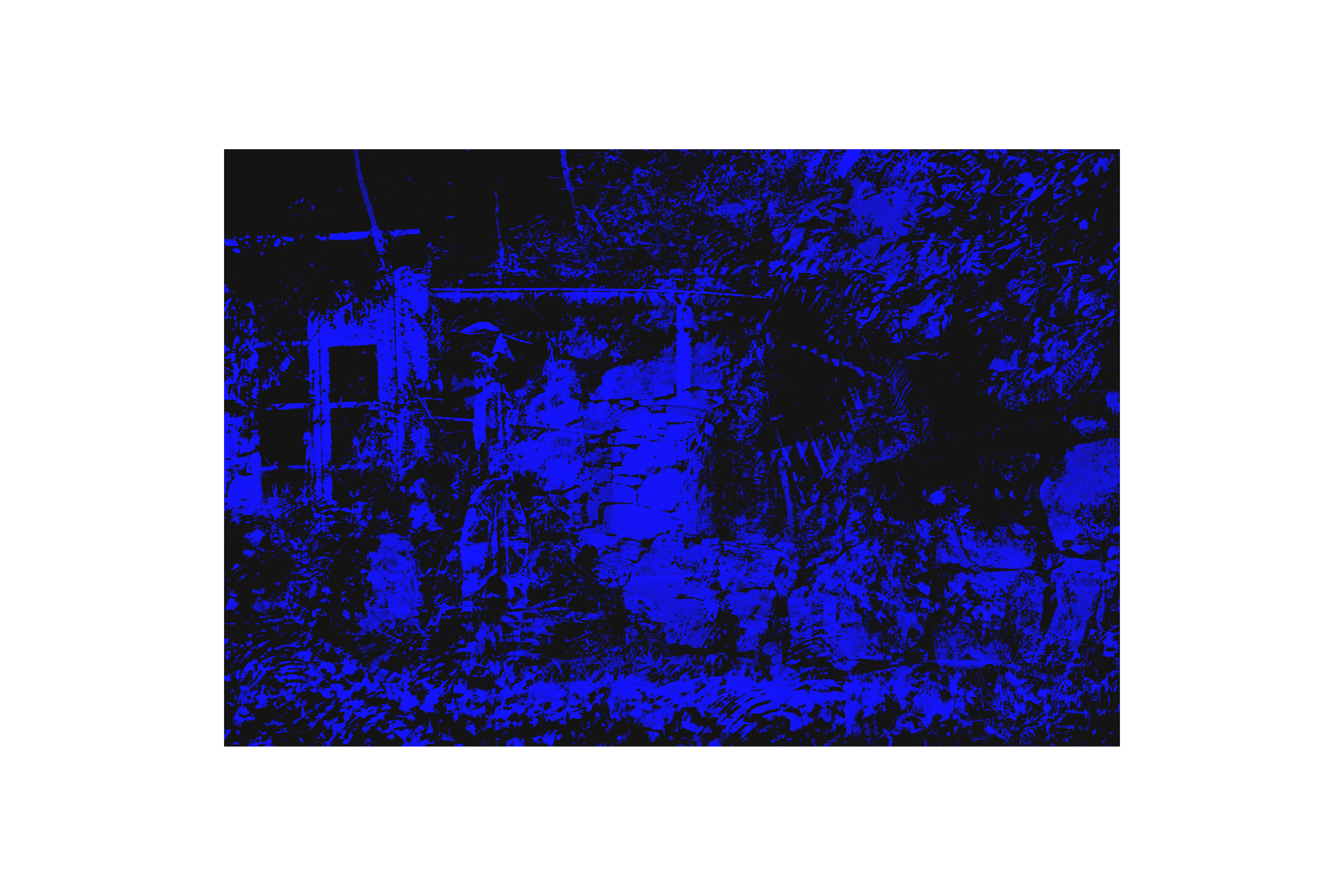 Die blaue Blume